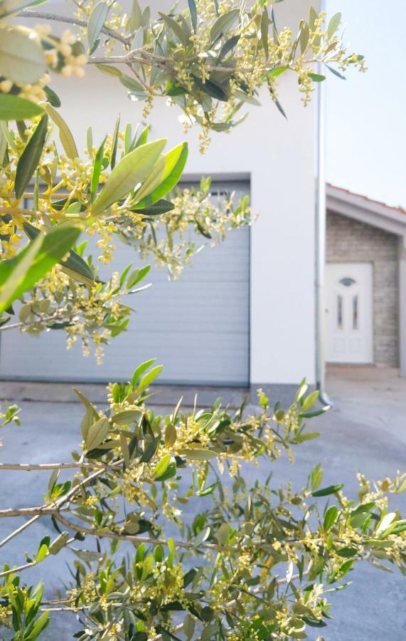 שיבניק Apartments Tanya מראה חיצוני תמונה